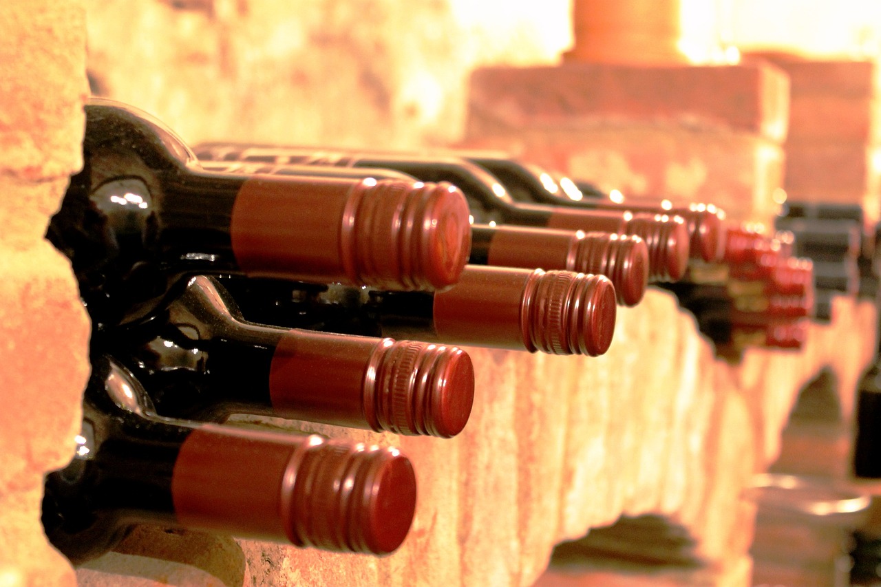 What is Sustainable Wine and Why is It Important?
